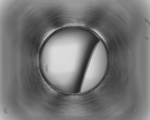 X0000091531468200708170939