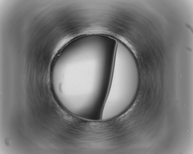 X0000091531469200708170939