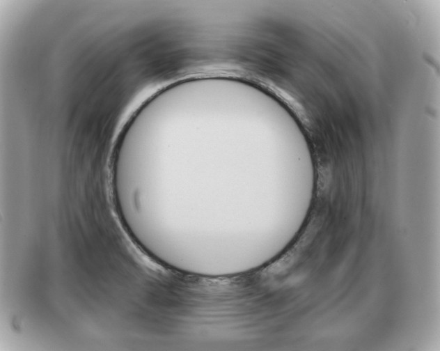 X0000091531470200708170939