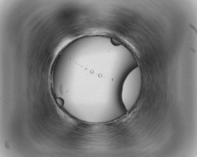 X0000091531471200708170939