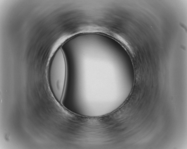 X0000091531472200708170939