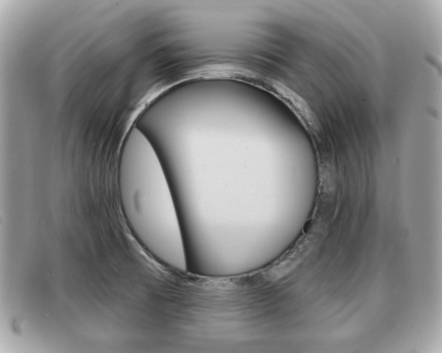 X0000091531473200708170939