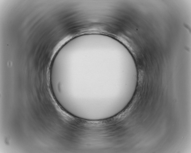 X0000091531474200708170939