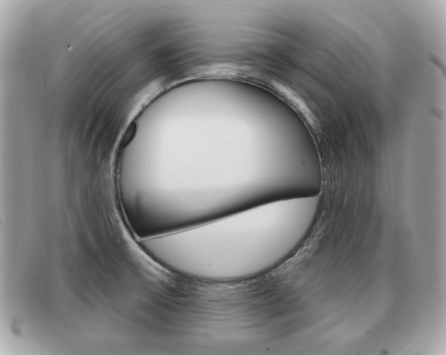 X0000091531475200708170939