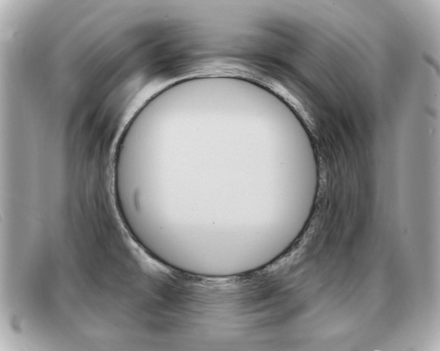 X0000091531478200708170939