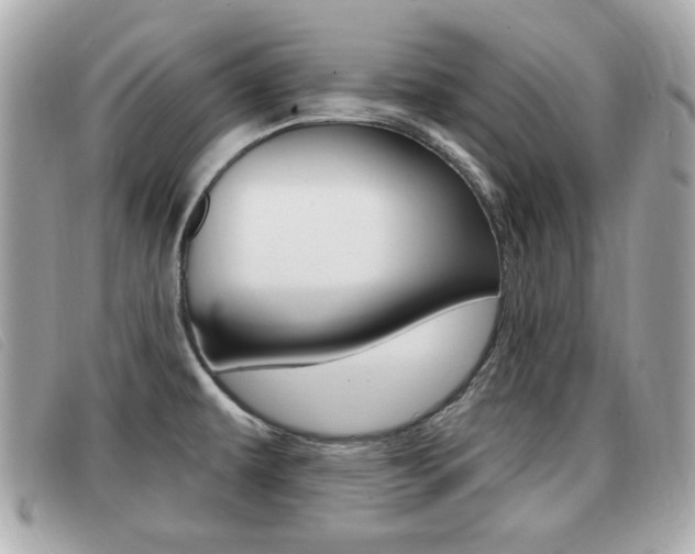 X0000091531479200708170939