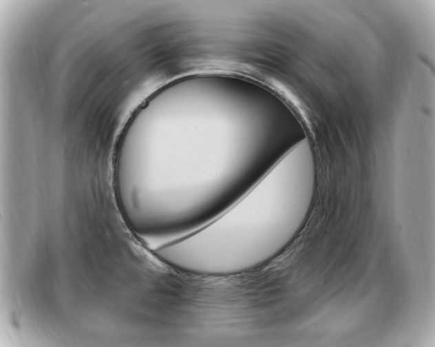 X0000091531480200708170939