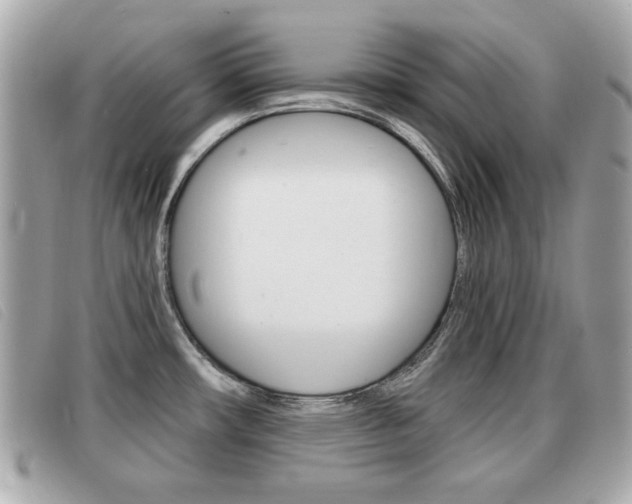 X0000091531482200708170939