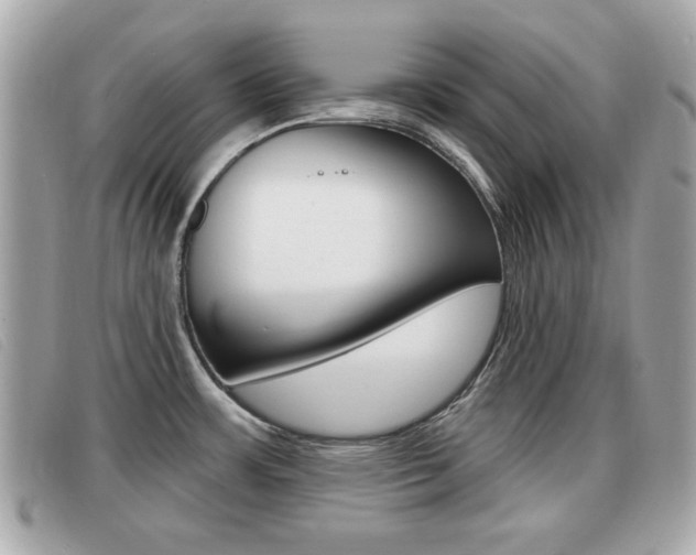 X0000091531483200708170939