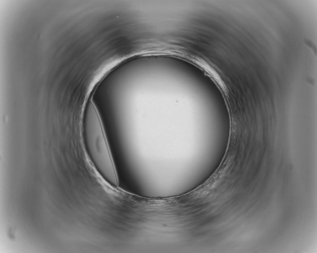 X0000091531485200708170939