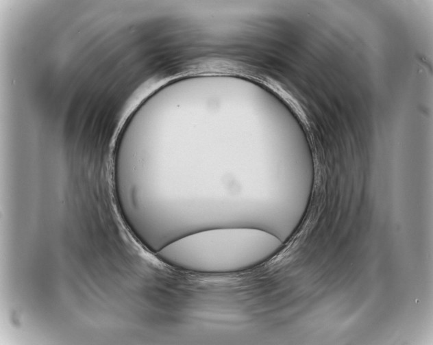 X0000091531486200708170939