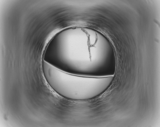 X0000091531488200708170939