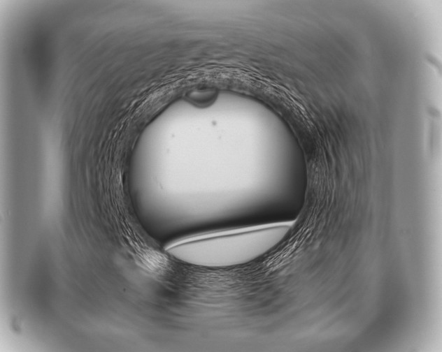 X0000091531489200708170938