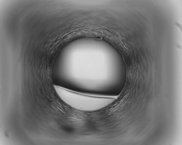 X0000091531490200708170938