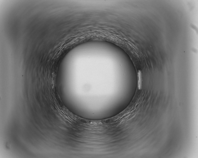 X0000091531491200708170938