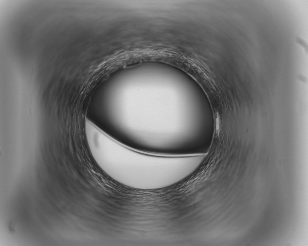 X0000091531492200708170938