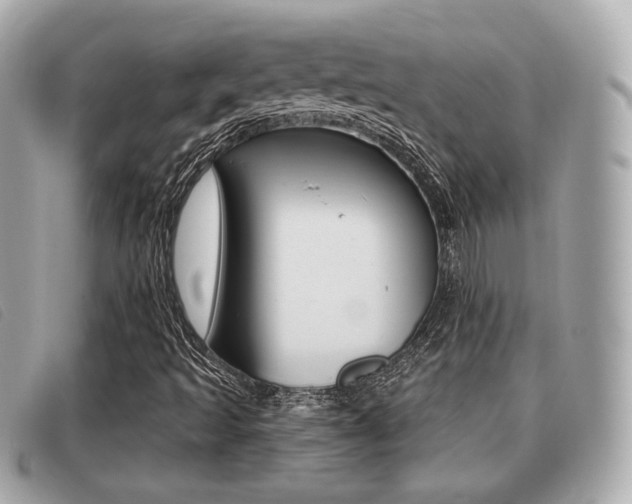 X0000091531493200708170938