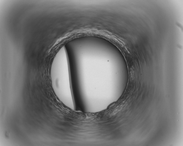 X0000091531494200708170938