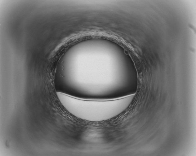 X0000091531495200708170938