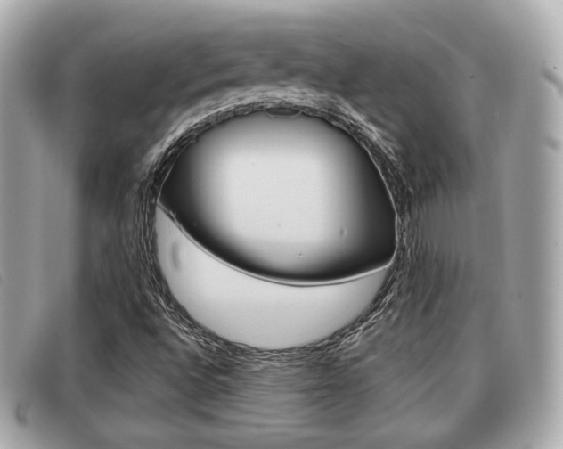 X0000091531496200708170939