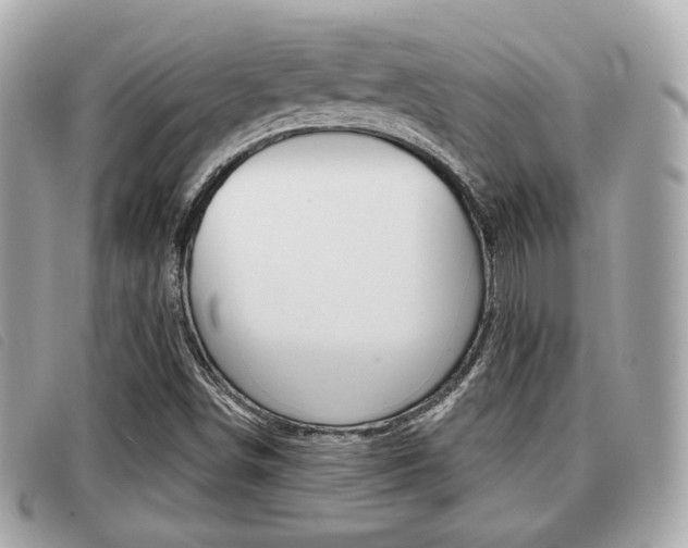 X0000091531498200708170939