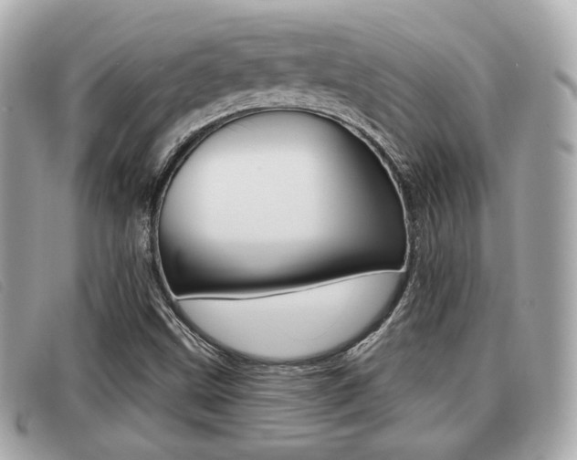 X0000091531499200708170939