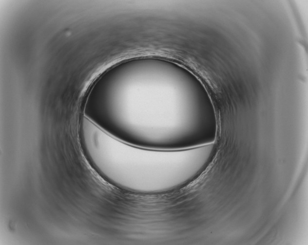 X0000091531500200708170939