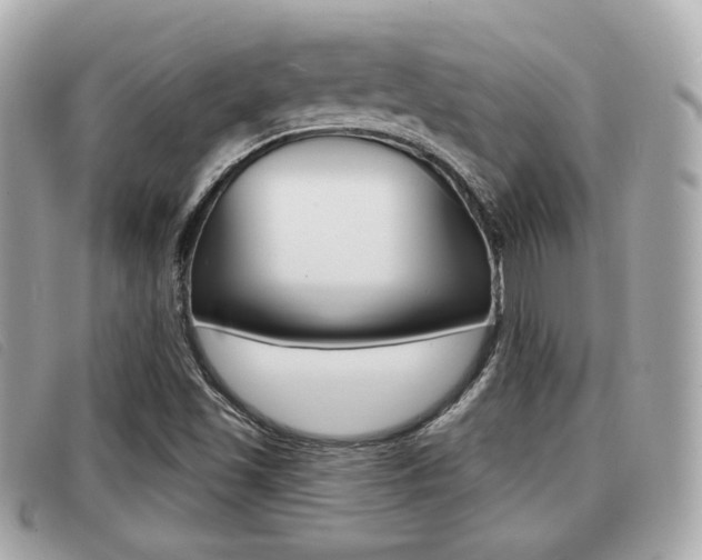 X0000091531501200708170939