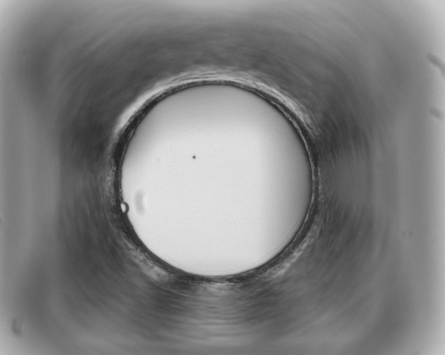 X0000091531502200708170939
