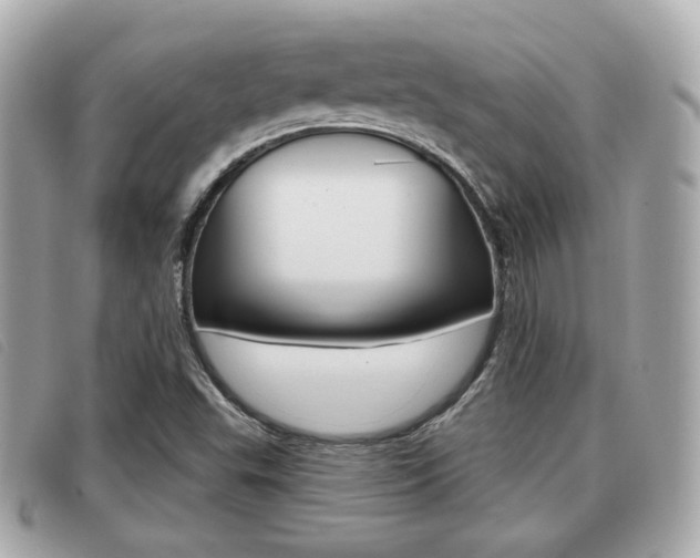 X0000091531503200708170939