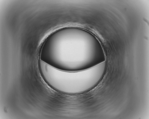 X0000091531504200708170939