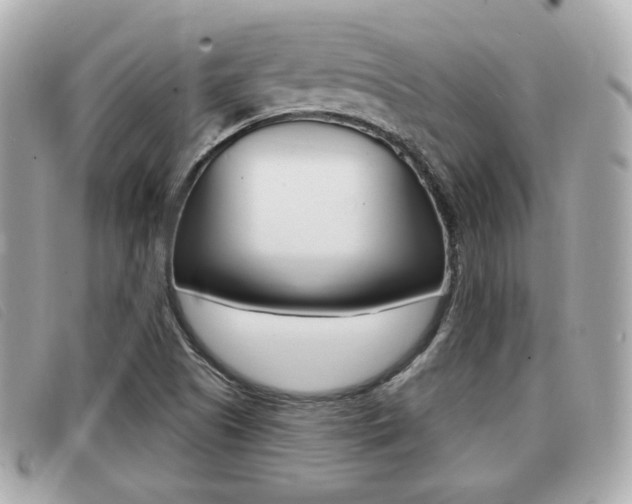 X0000091531505200708170939