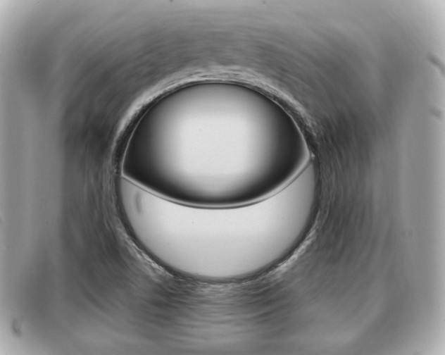 X0000091531506200708170939