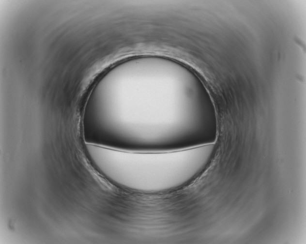 X0000091531507200708170939
