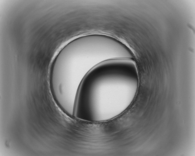 X0000091531508200708170939