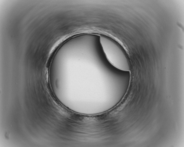 X0000091531509200708170939