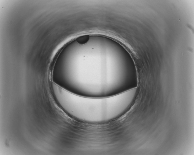 X0000091531510200708170939