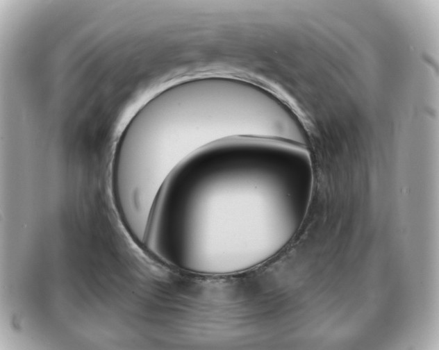 X0000091531512200708170939