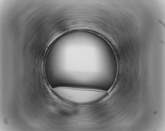 X0000091531513200708170939