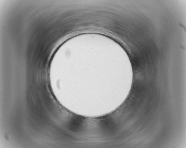 X0000091531514200708170939