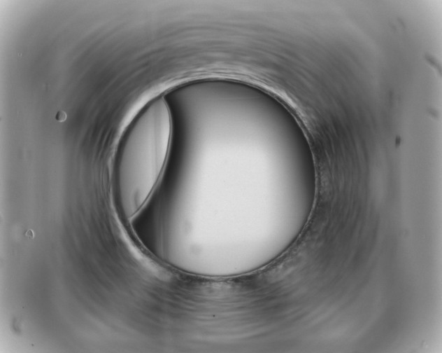 X0000091531515200708170939