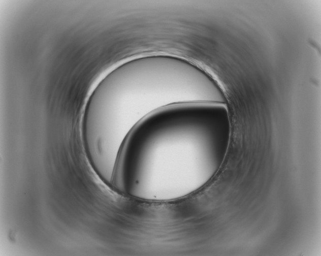 X0000091531516200708170939