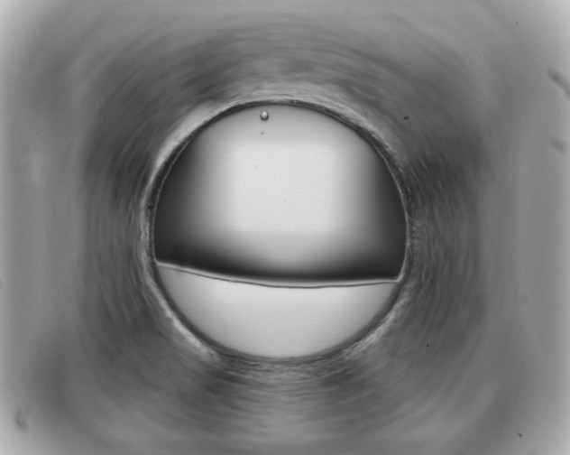 X0000091531517200708170939
