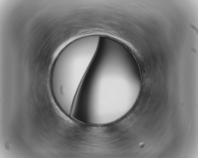 X0000091531518200708170939