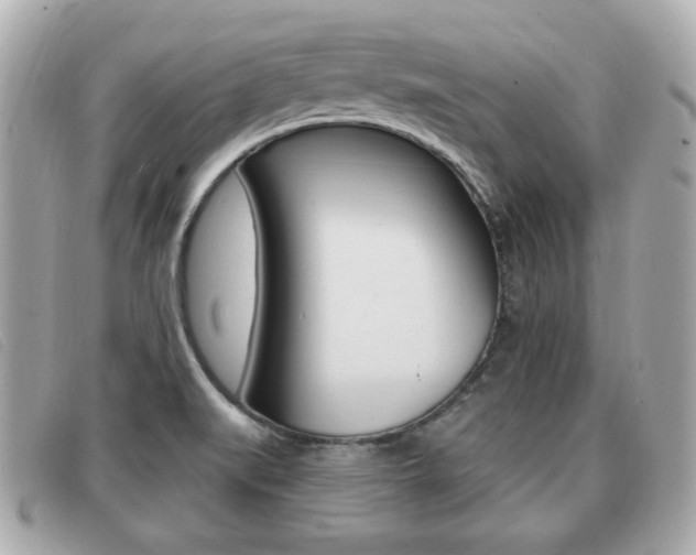 X0000091531519200708170939