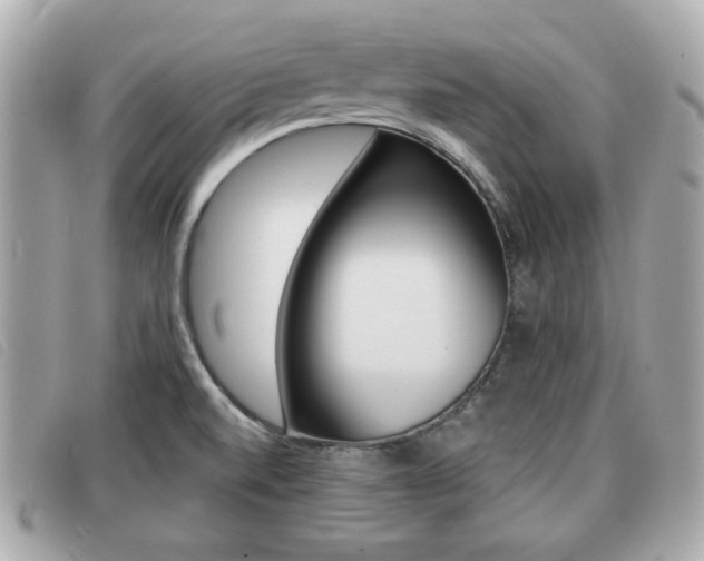 X0000091531520200708170939