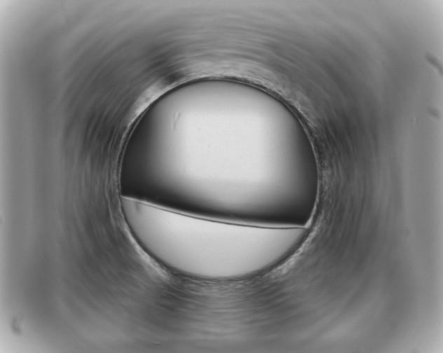 X0000091531521200708170939