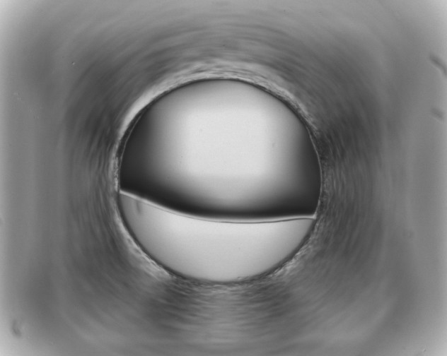 X0000091531522200708170939