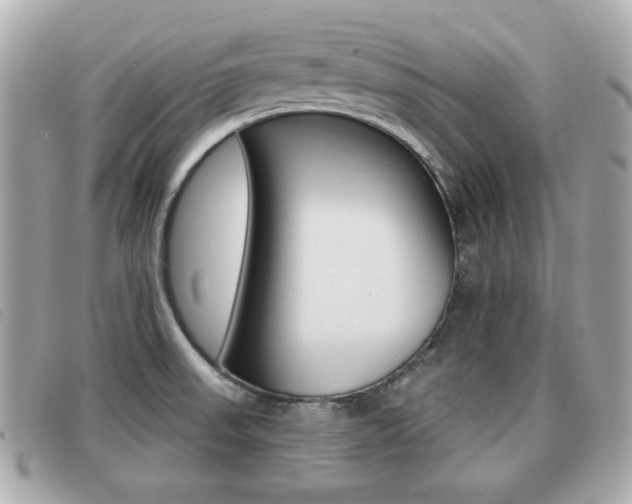 X0000091531523200708170939
