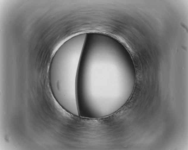X0000091531524200708170939